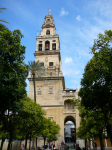 Mezquita-Catedral VI